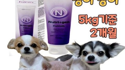 😻고양이유산균펫프로22고양이 후기! 할인 정보와 꿀팁 대방출!