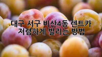 대구 서구 비산4동 렌트카 저렴하게 빌리는 방법